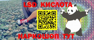 сатива Кимры