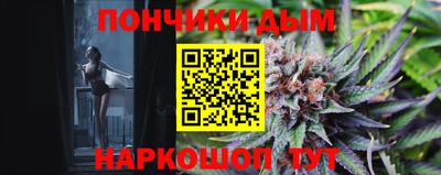сатива Кингисепп