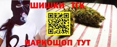 сатива Кингисепп