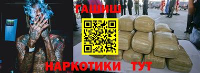 сатива Кингисепп
