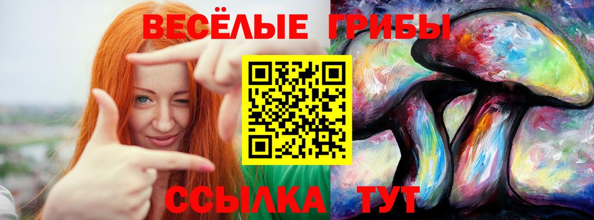 Чехов  Галлюциногенные грибы прущие грибы  Вход с VPN 